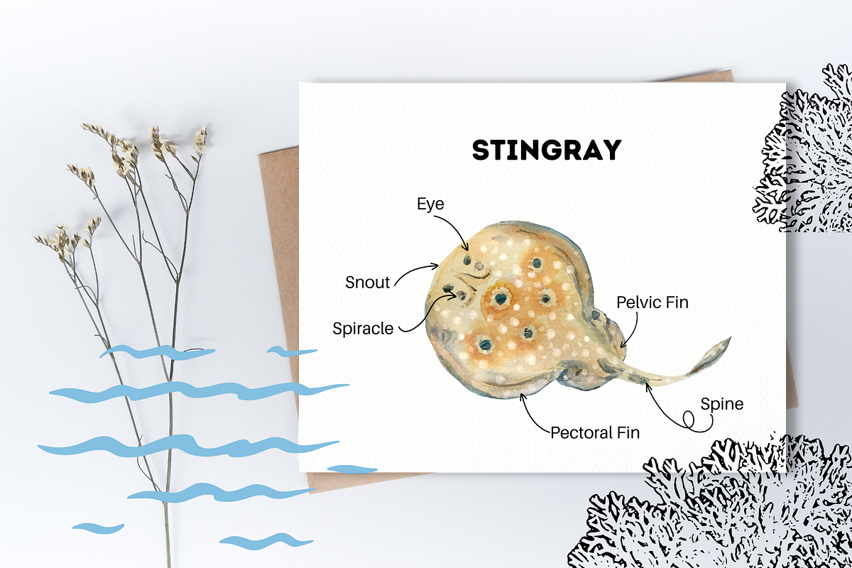 Watercolour Ray Set, an Education Illustration by Tati Bordiu (Photo 4 of 6)