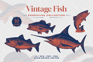 Vintage Fish Engraving, an Animal Illustration by Kaizla03