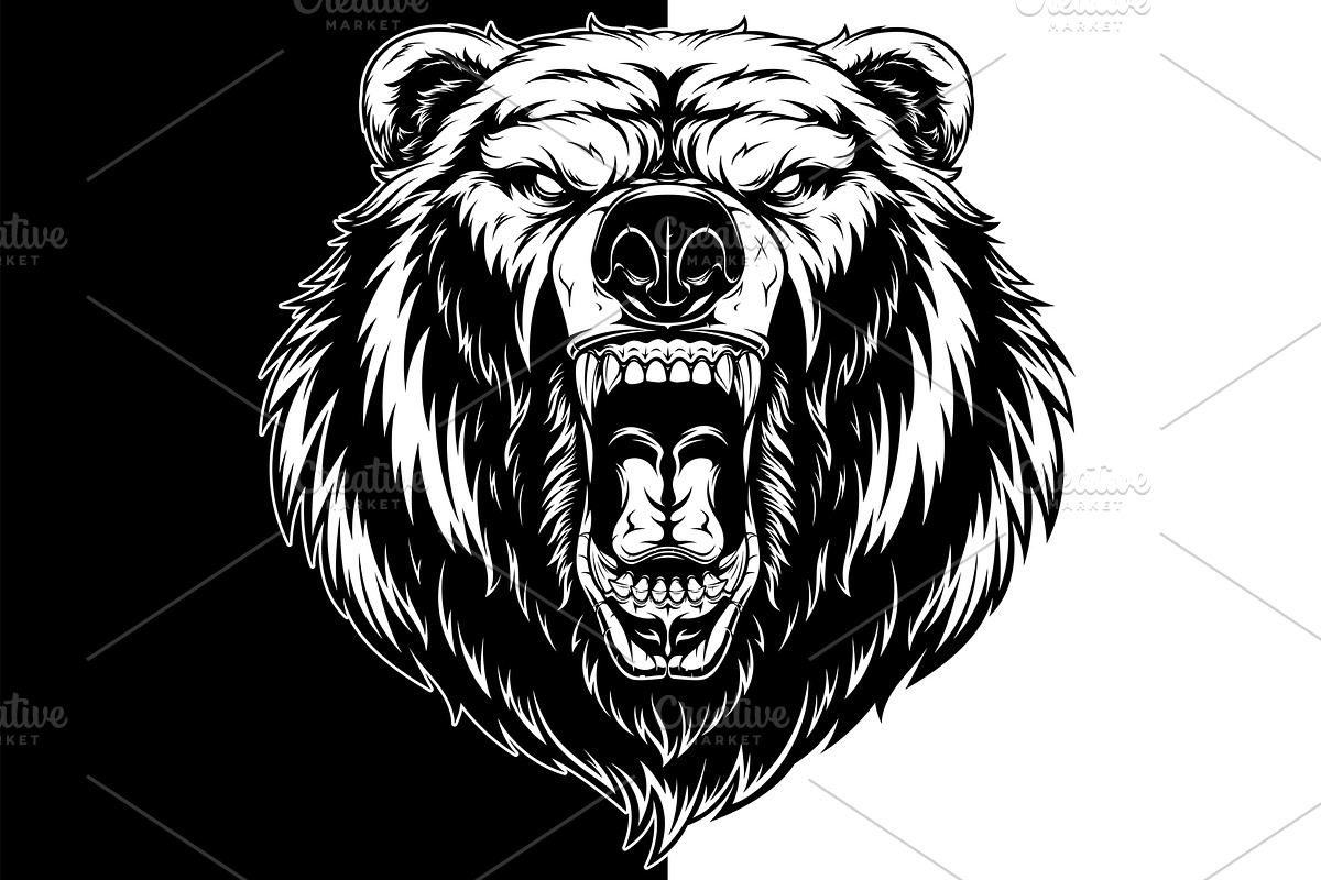 Head of a ferocious grizzly bear, an Animal Illustration by Mark2000