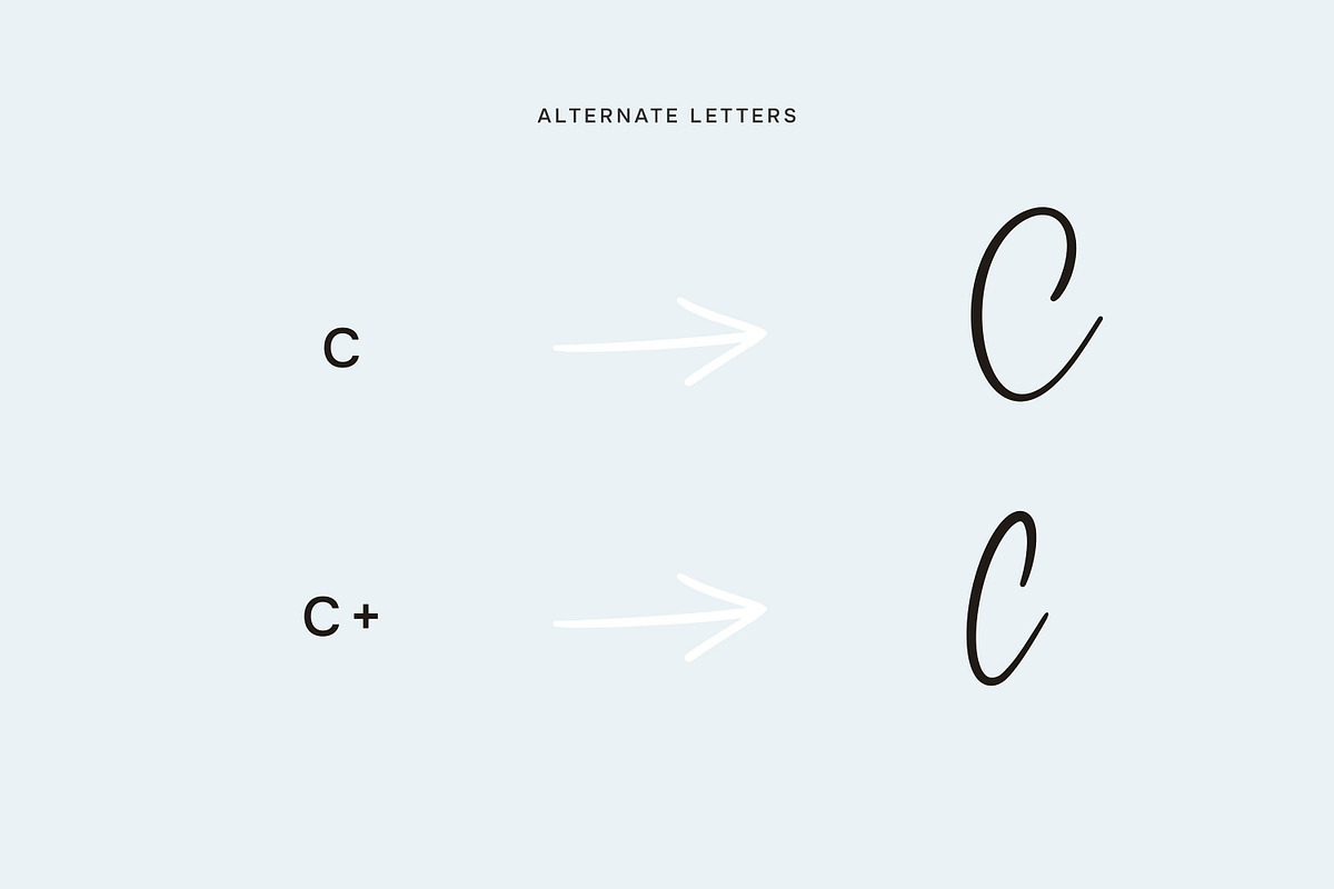 BetterFly - for Canva & Templett, a Script Font by Blessed Print (Photo 38 of 46)