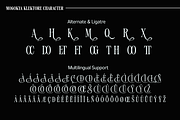 Mogokya Klektore, a Serif Font by Differentialtype (Thumbnail 10 of 11)
