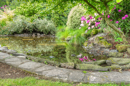Landscaped Garden Scene With Hosta preview 6