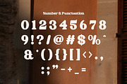 Newsford - Elegant Retro Serif Font, a Serif Font by Flawless And Co (Thumbnail 8 of 10)