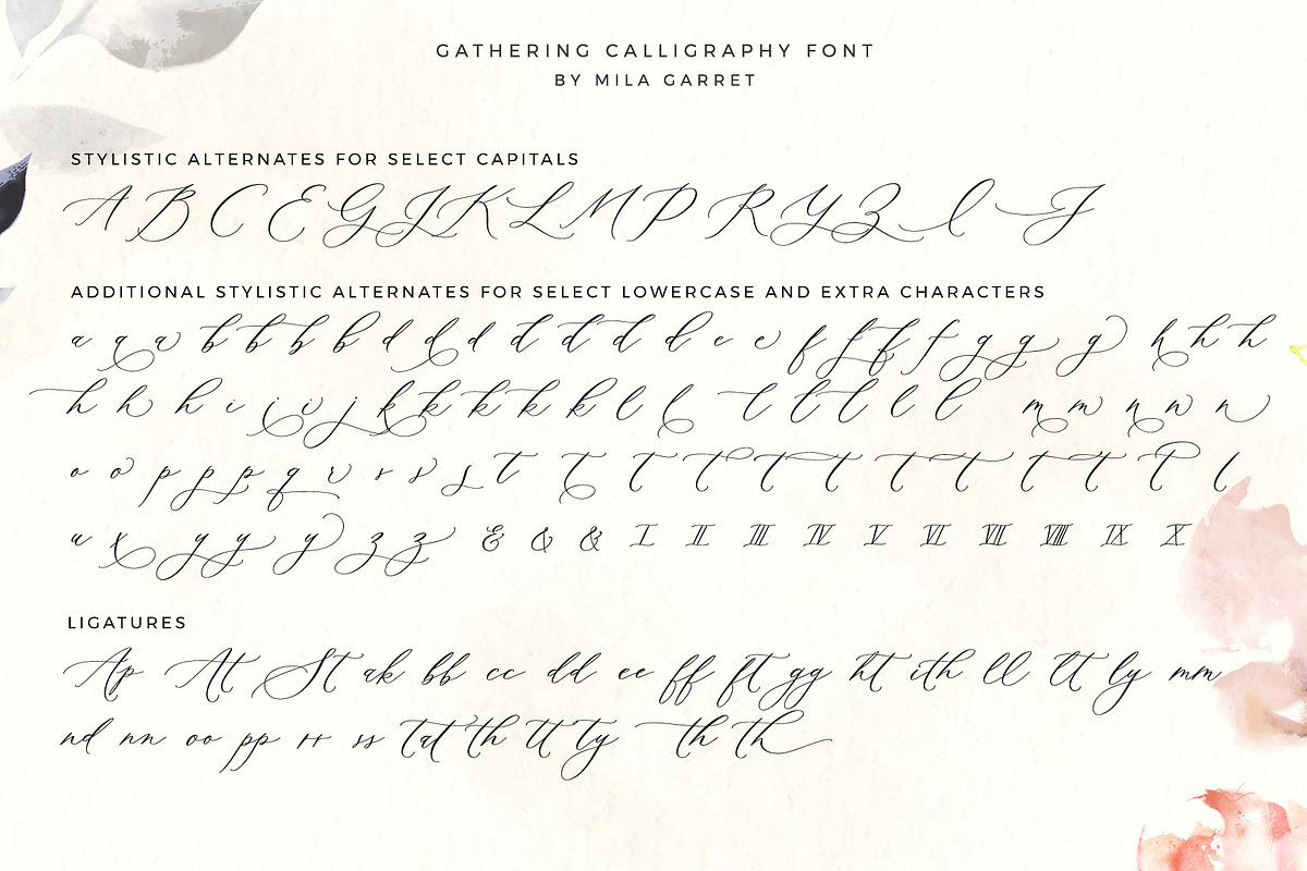 Gathering Calligraphy Wedding Script, a Script Font by Mila Garret (Photo 15 of 17)