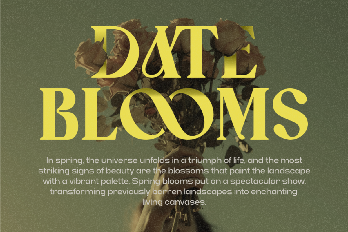 Caooli - Elegant Serif Font, a Serif Font by MaikoHatta (Photo 2 of 8)
