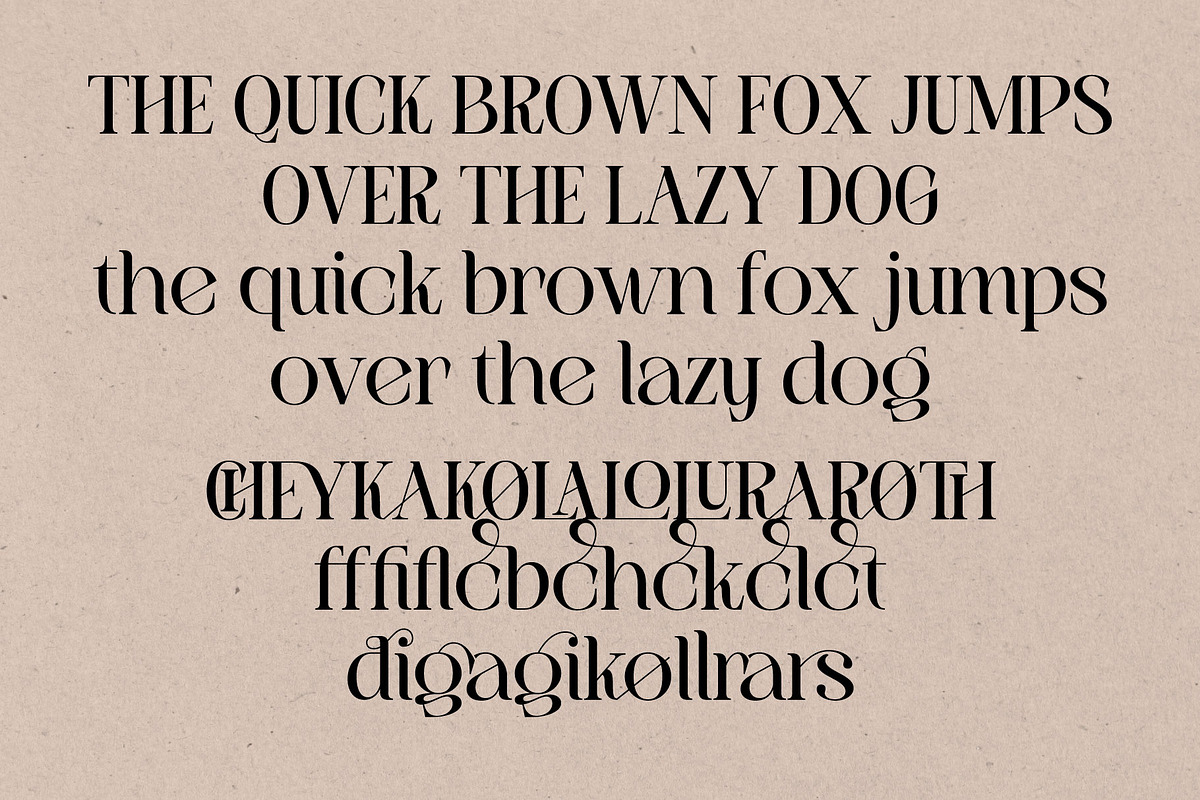 Authen Vignet Versatility Elegance, a Font by AuthenType (Photo 7 of 10)
