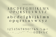 Arashy – Elegant Serif Font, a Serif Font by Almeera Std (Thumbnail 6 of 6)