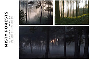 Misty Forests, a Nature Photo by Digital Art Creations (Thumbnail 4 of 5)