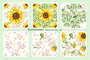 Sunflowers, set of watercolor, a Decorative Illustration by EshaStudio (Thumbnail 5 of 9)