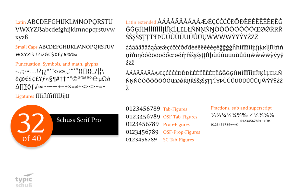 SchussSerifPro No.32 (1 Font) preview 4