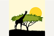 Acacia tree and giraffe, an Animal Illustration by Shanvood