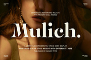 Mulich Serif Display | 18 Fonts, a Serif Font by Skinny Type (Thumbnail 1 of 15)