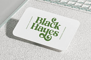 Jungle Melon Groovy Display Serif, a Serif Font by timelesstype.co (Thumbnail 9 of 20)