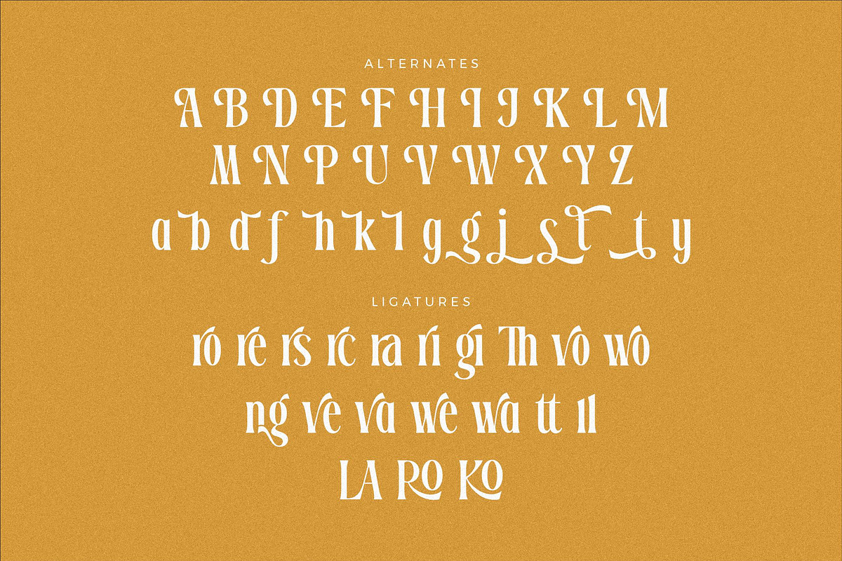 Dreavolt A Serif Display Font, a Serif Font by Storytype Studio (Photo 13 of 15)