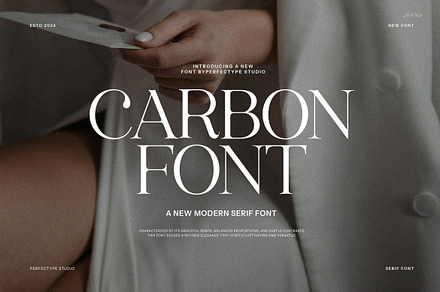 Carbon Modern Serif Font, a Serif Font by Perfectype