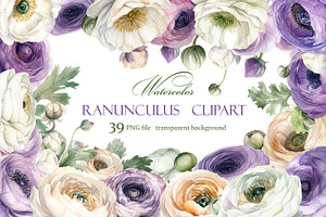 Ranunculus clipart, Watercolor flora