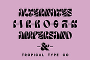 NEW WAVE - display font, a Sans Serif Font by Tropical Type (Thumbnail 10 of 11)