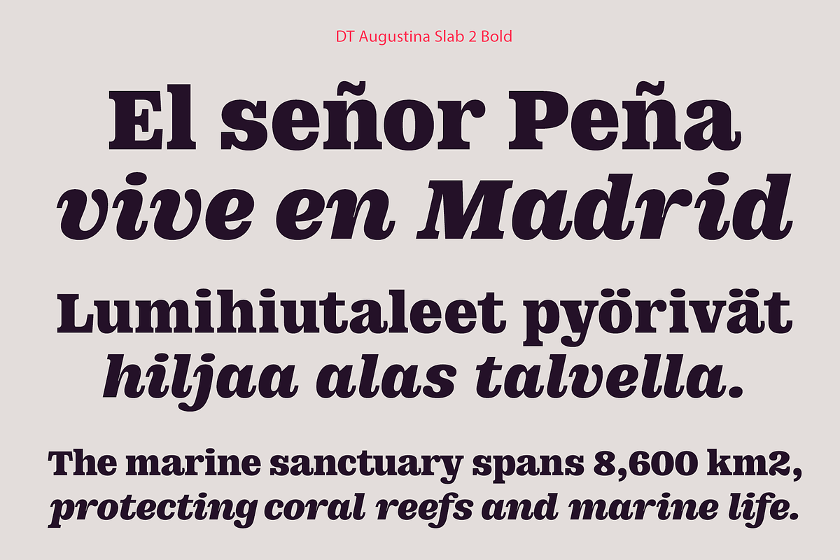 DT Augustina Slab 2 Subfamily, a Slab Serif Font by Deveze Type Foundry (Photo 13 of 30)