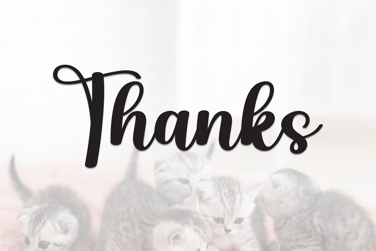 Kitten | Script Font, a Handwritten Font by Scratchones (Photo 8 of 8)