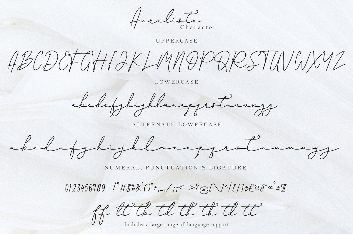 Aurelista - Monoline Signature, a Script Font by erlosDESIGN (Photo 13 of 13)
