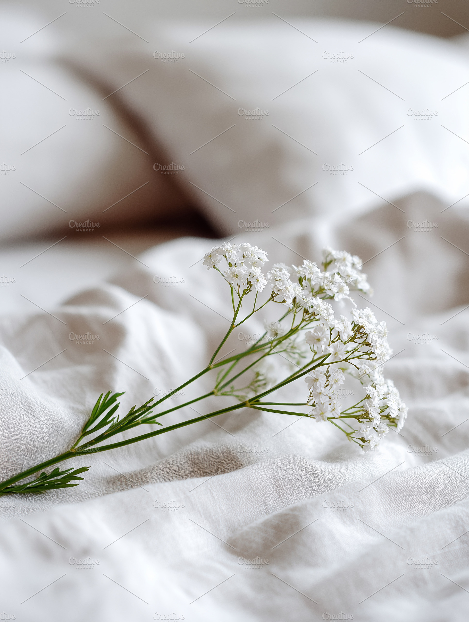 Delicate white wildflowers resting, a Background Photo by MistyDay