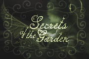 Faerie Charm Whimsical Floral Font, a Script Font by AnMark (Thumbnail 9 of 14)