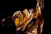 Leaf: 65 Metal Leaf Shapes, an Object Graphic by RuleByArt (Thumbnail 18 of 19)