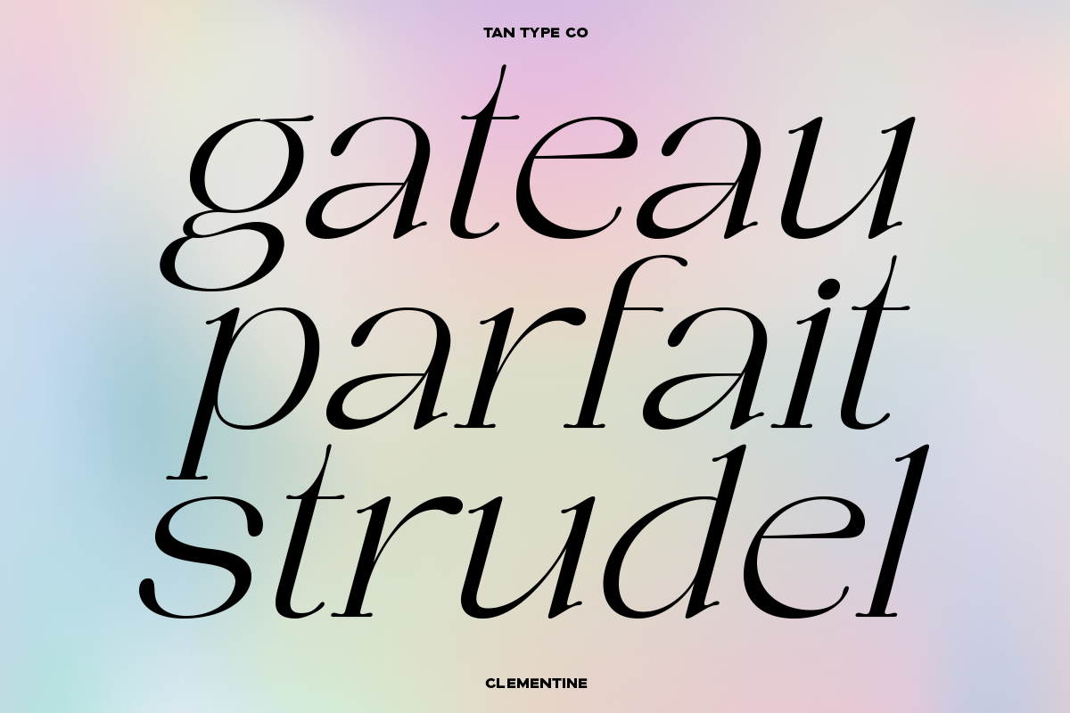 TAN - CLEMENTINE, a Serif Font by TanType (Photo 16 of 20)