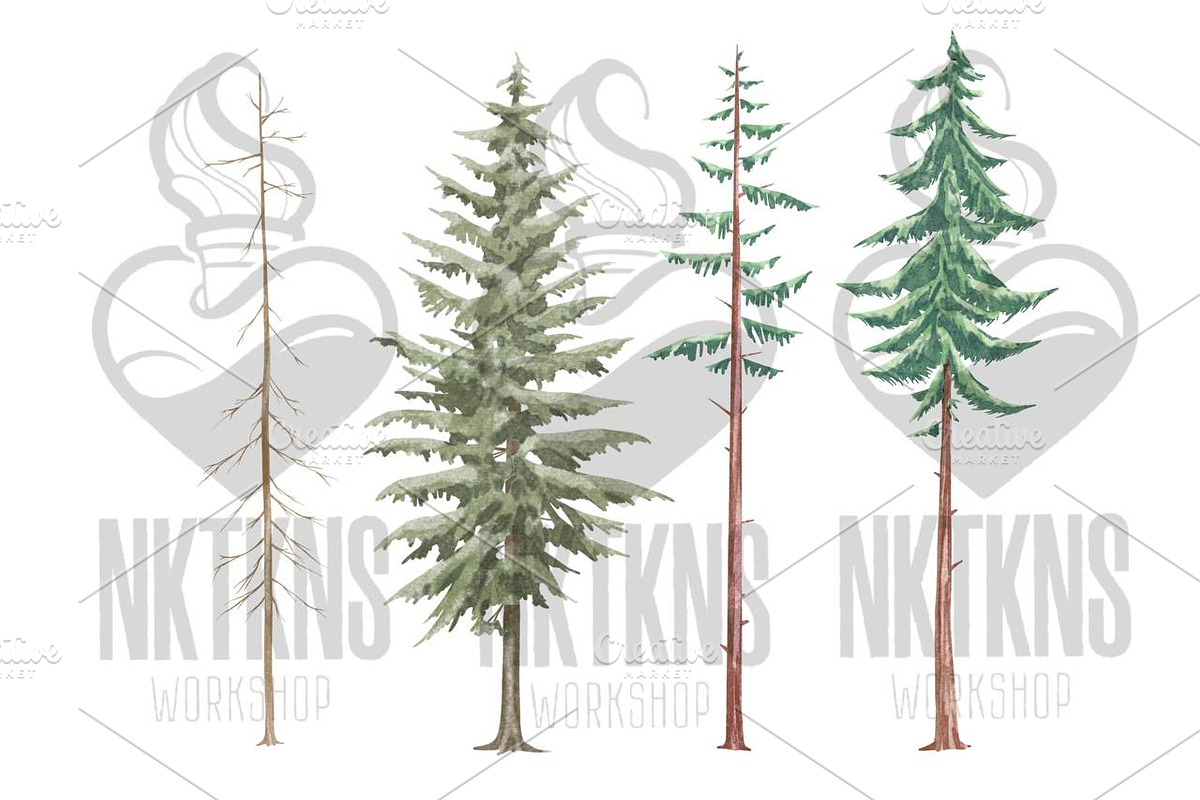 Forest Watercolor Woods Pine Tree, an Illustration by NKTKNS (Photo 4 of 7)