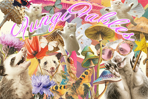 FungiFables Collage Collection