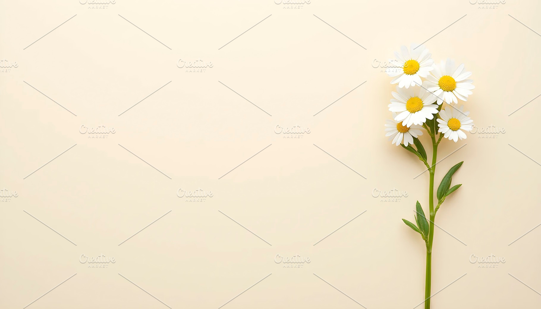 White Flowers on Soft Beige Backgrou, a Photo by LOGOCREATIVE