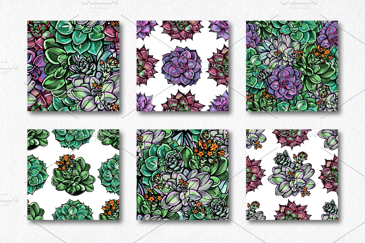 6 seamless patterns with succulents, a Pattern Graphic by AV Design (Photo 2 of 8)