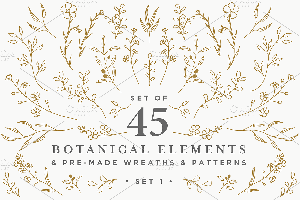 Botanical Elements Set 1, an Illustration by CojoMoxon (Photo 1 of 9)