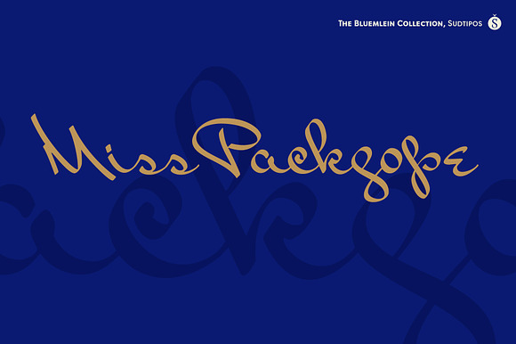 Miss Packgope Pro preview 7