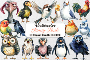Funny Birds Collection Clipart, an Animal Illustration by DreamCafeArt