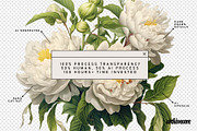 Vintage Book Of Flowers Clipart, an Object Graphic by angelainthefields (Thumbnail 12 of 18)