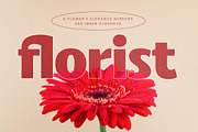 Caffie Lofie Retro Sans Serif, a Serif Font by timelesstype.co (Thumbnail 12 of 20)