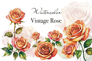 Vintage Rose. AI