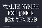 Wondernesia Nostalgic & Modern Serif, a Serif Font by Lettertype Studio (Thumbnail 9 of 15)