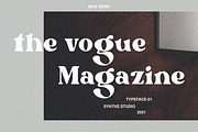 Gustafsson, a Serif Font by Portion.Labs (Thumbnail 3 of 11)