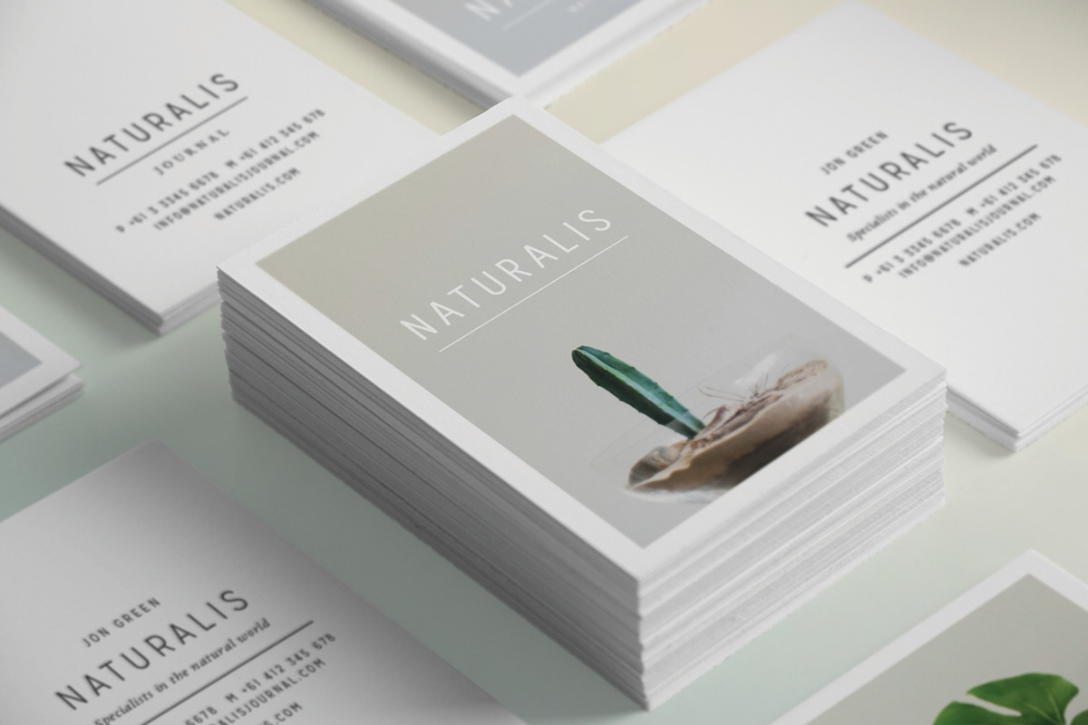 NATURALIS Business Card Template, a Business Card Template by 46&2 Collective (Photo 2 of 9)