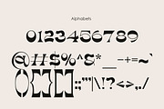 Wasely Modern Classic Font, a Serif Font by Muntab_Art (Thumbnail 11 of 11)