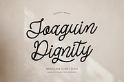 Joaguin Dignity | Monoline Script, a Script Font by gracetype_studio (Thumbnail 1 of 12)