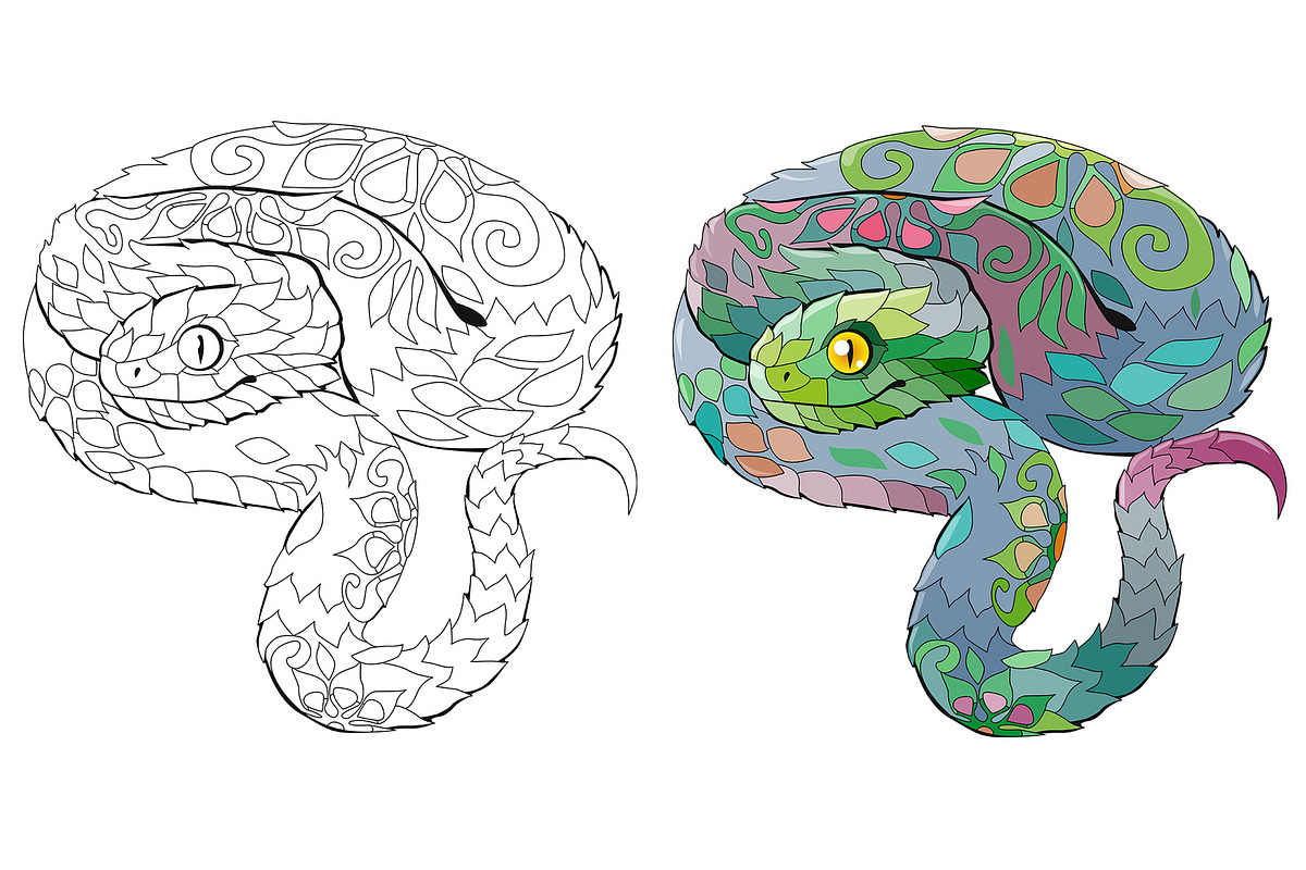 Decorative snakes for coloring, an Object Graphic by Watercolor fantasy (Photo 4 of 7)