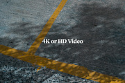 Plant Shadow Backdrops Video Bundle, a Mockup by rebrandy (Thumbnail 15 of 24)