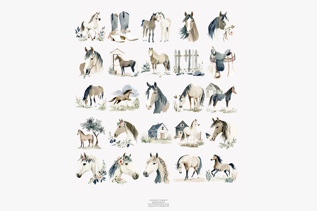horse clipart horse illustration set, an Illustration by Patishop Art (Photo 8 of 10)