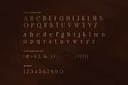 Damita Elegant Serif Display Font, a Serif Font by Perfectype (Thumbnail 7 of 8)