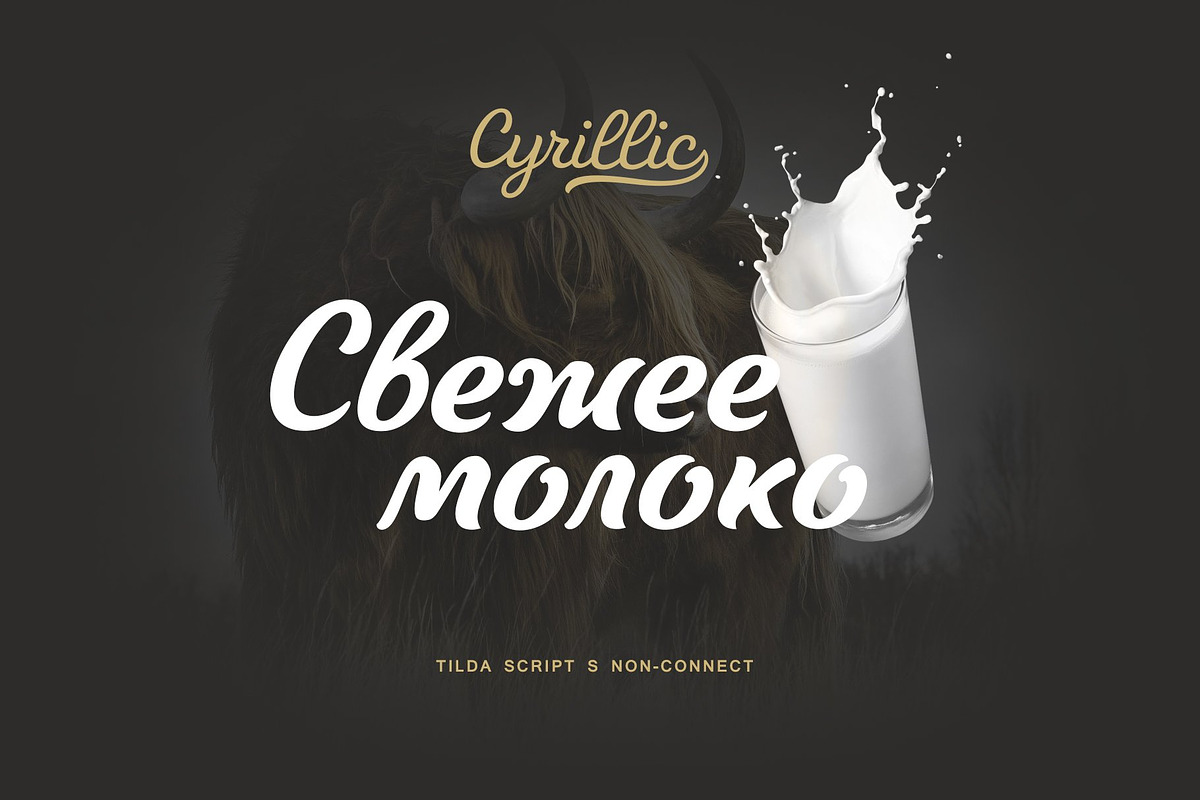 Tilda Script — stylish font family preview 6