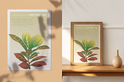 6 House Plants | Botanical Bundle, a Decorative Illustration by Lines And Crafts (Thumbnail 6 of 7)