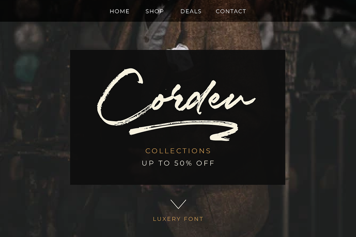 Luxery Classy Handwritten Font, a Script Font by Prestigetype (Photo 4 of 13)